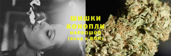 PSILOCYBIN Богородицк