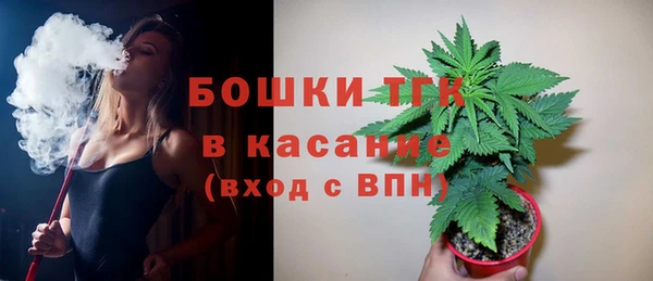 ГАЛЛЮЦИНОГЕННЫЕ ГРИБЫ Новодвинск