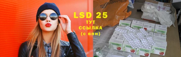 PSILOCYBIN Богородицк