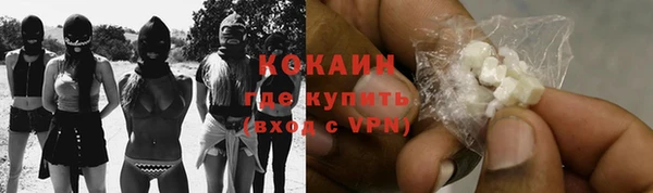 ГАЛЛЮЦИНОГЕННЫЕ ГРИБЫ Новодвинск