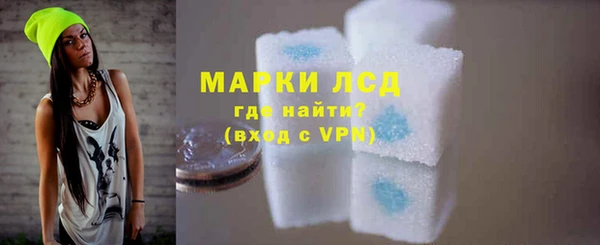 стаф Новокубанск