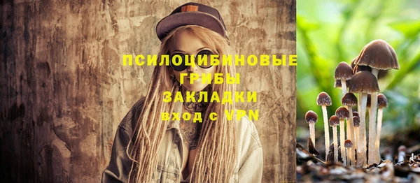 ГАЛЛЮЦИНОГЕННЫЕ ГРИБЫ Новодвинск