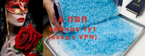 стаф Новокубанск