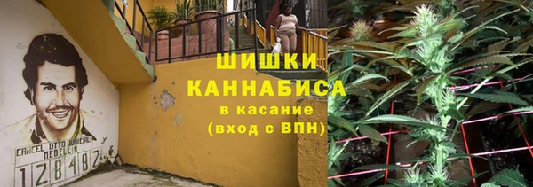 ГАЛЛЮЦИНОГЕННЫЕ ГРИБЫ Новодвинск