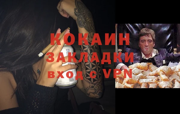 стаф Новокубанск