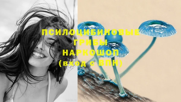 ГАЛЛЮЦИНОГЕННЫЕ ГРИБЫ Новодвинск