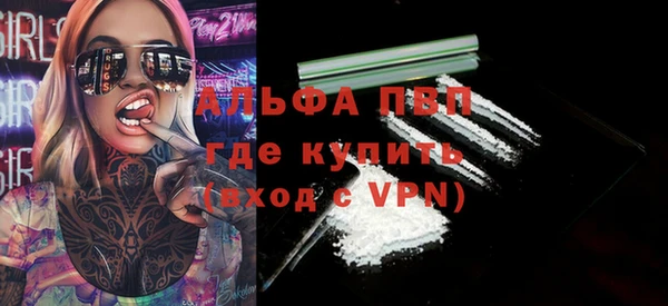 стаф Новокубанск