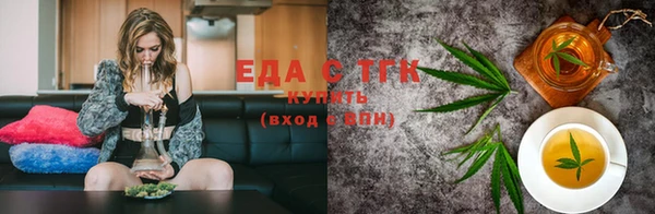 стаф Новокубанск