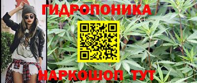 индика Бийск