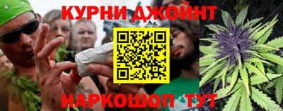 индика Бийск