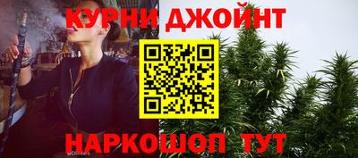 индика Бийск