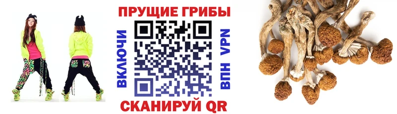 Галлюциногенные грибы ЛСД  blacksprut онион  Грязи  закладка 